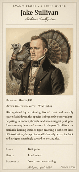 Birds of America